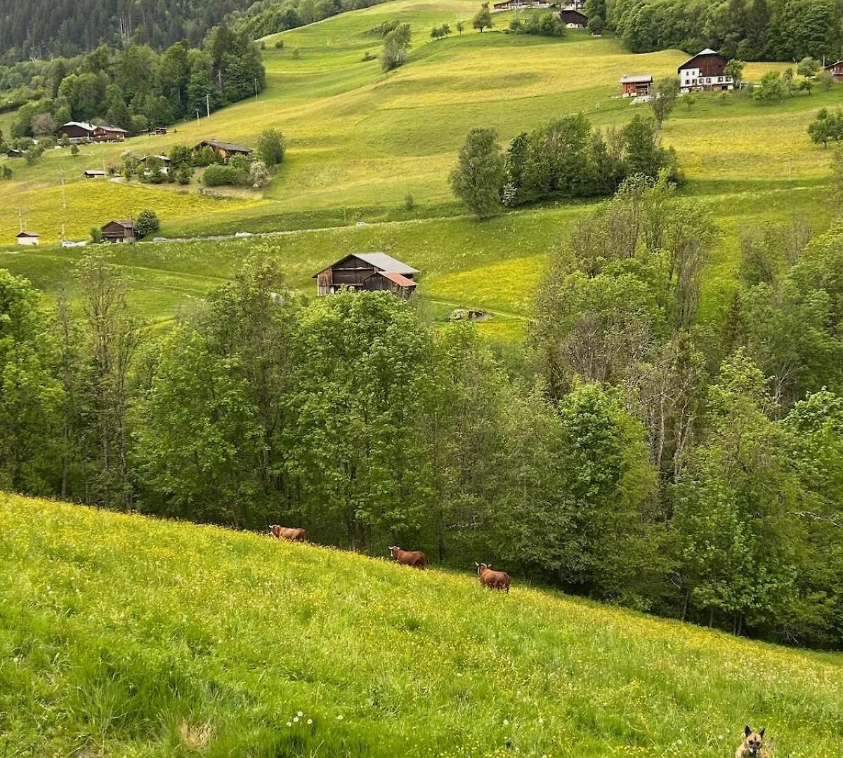 Appartement Renove Au Pied Des Pistes Avec Piscine, Sauna, Linge Inclus Et Animaux Acceptes Флюме